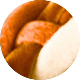 ActiveDisk